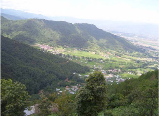 essay on community forest in nepal