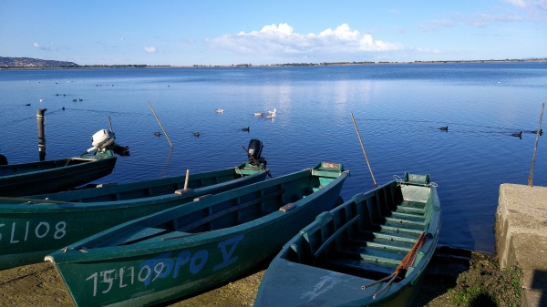Sustainable fishing practices and a unique fishermen's community in the  Orbetello Lagoon, Italy - International Partnership for the Satoyama  Initiative