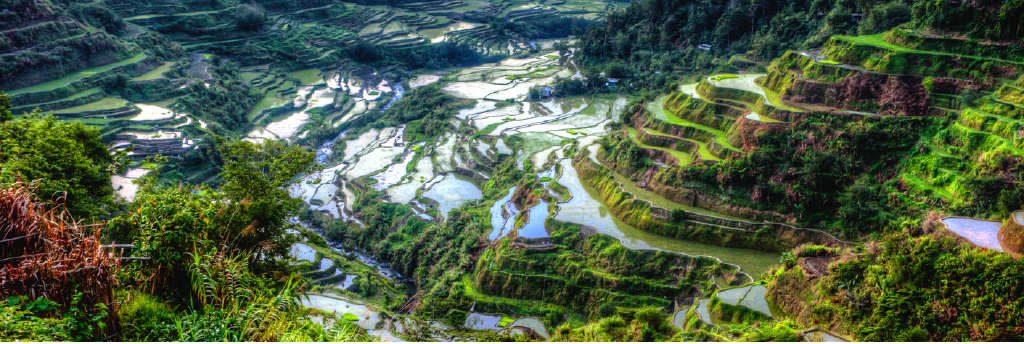 1st Ifugao Rice Terraces Assessment Newsletter Banner Image only1024_1