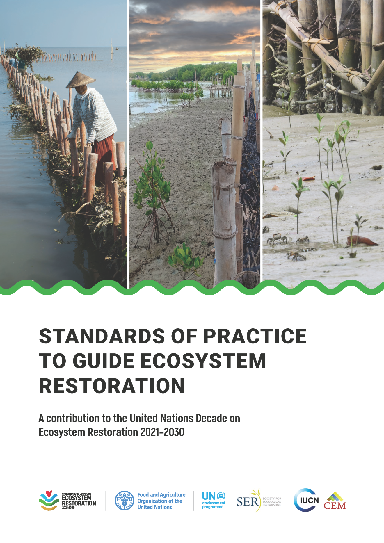 Cover Standards of practice to guide ecosystem restoration
