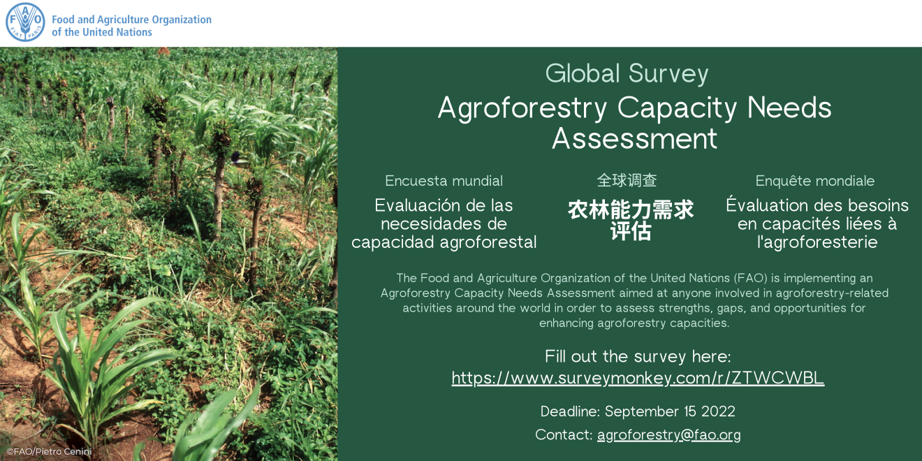 Global Agroforestry Capacity Needs Assessment
