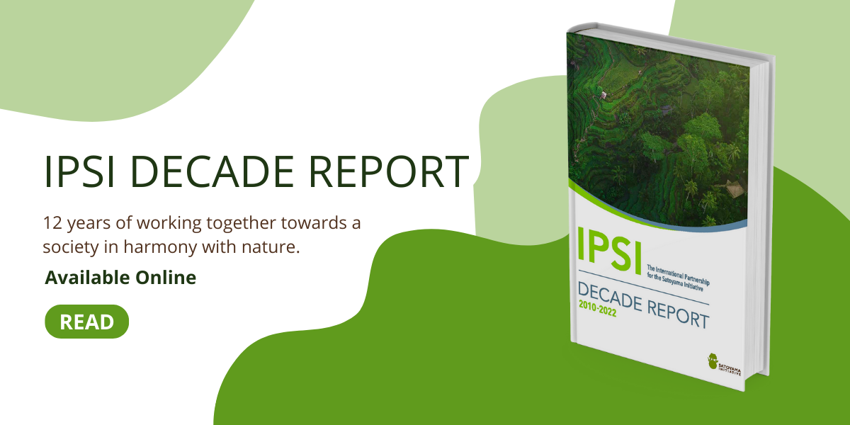 IPSI Decade Report newsletter banner