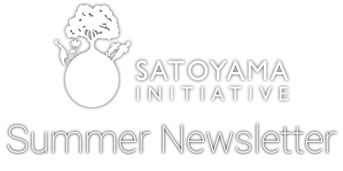 IPSI Logo and Summer title newsletter